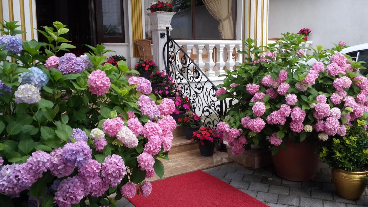 Hotel Termal Elit