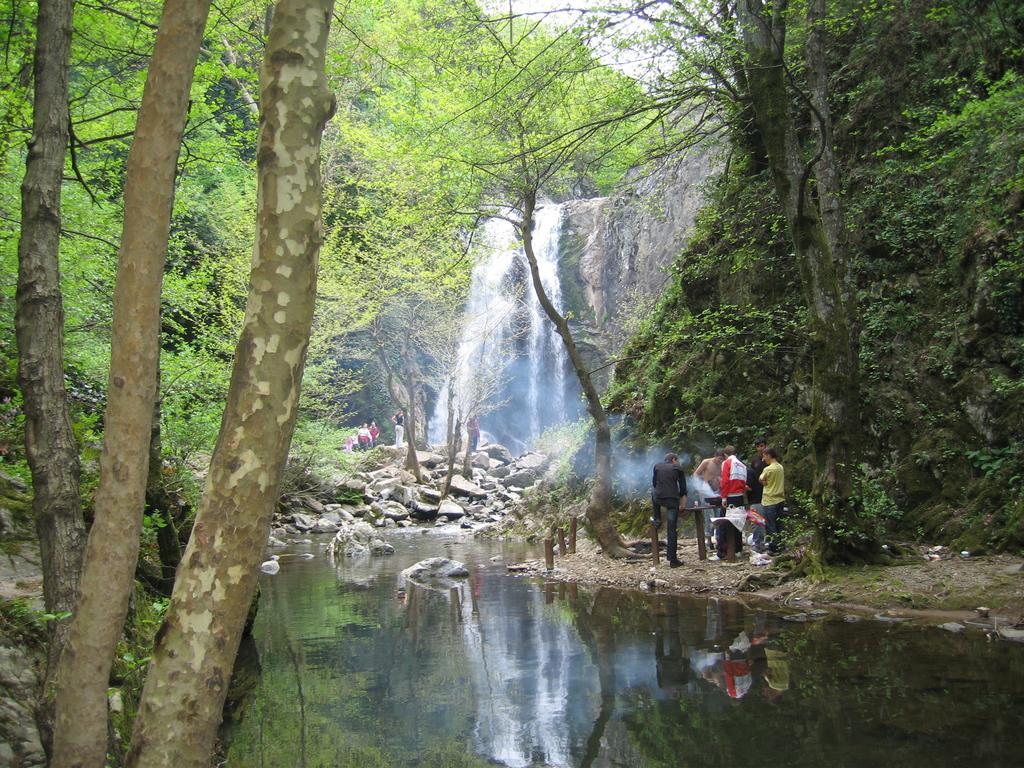 Termal Elit